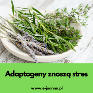 Adaptogeny – zioła podnoszące energię Adaptogeny – zioła podnoszące energię